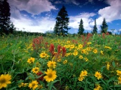 Rabbit Ears Pass, Rocky Mountains, Colorado