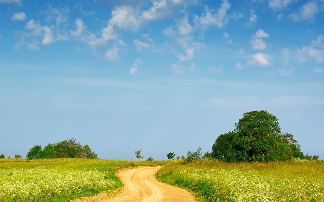 Landscape - Country path