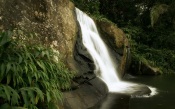 Jungle Waterfall