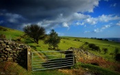 Landscape - Fields