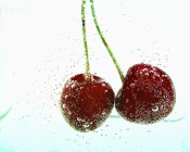 Fresh Cherries