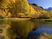 Autumn Lake