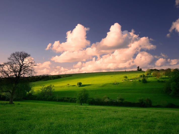 Green Hill and Pink Clouds