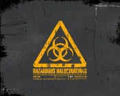 Hazardous Hallucinations