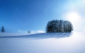 Hokkaido winter, Japan