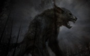 Dire Wolf