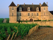 Clos de Vougeot Vineyard, Vougeot, France