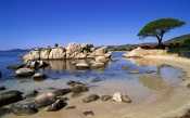 Plage de Palombaggia Porto-Vecchio Corse, France