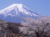 Fuji at Autumn, Japan