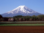 Fuju Rock, Japan