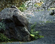 Photos of spring, Japan