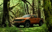 Ford F-150 SVT Raptor in Dense Forest