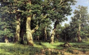 Ivan Shishkin - Oak Grove