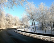 Winter Road through the Forest