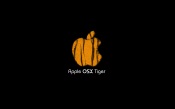 Mac OS X Tiger