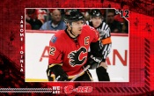 Jarome Iginla - Calgary Flames