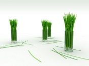 Grass in a Glass