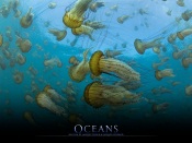 Oceans Movie