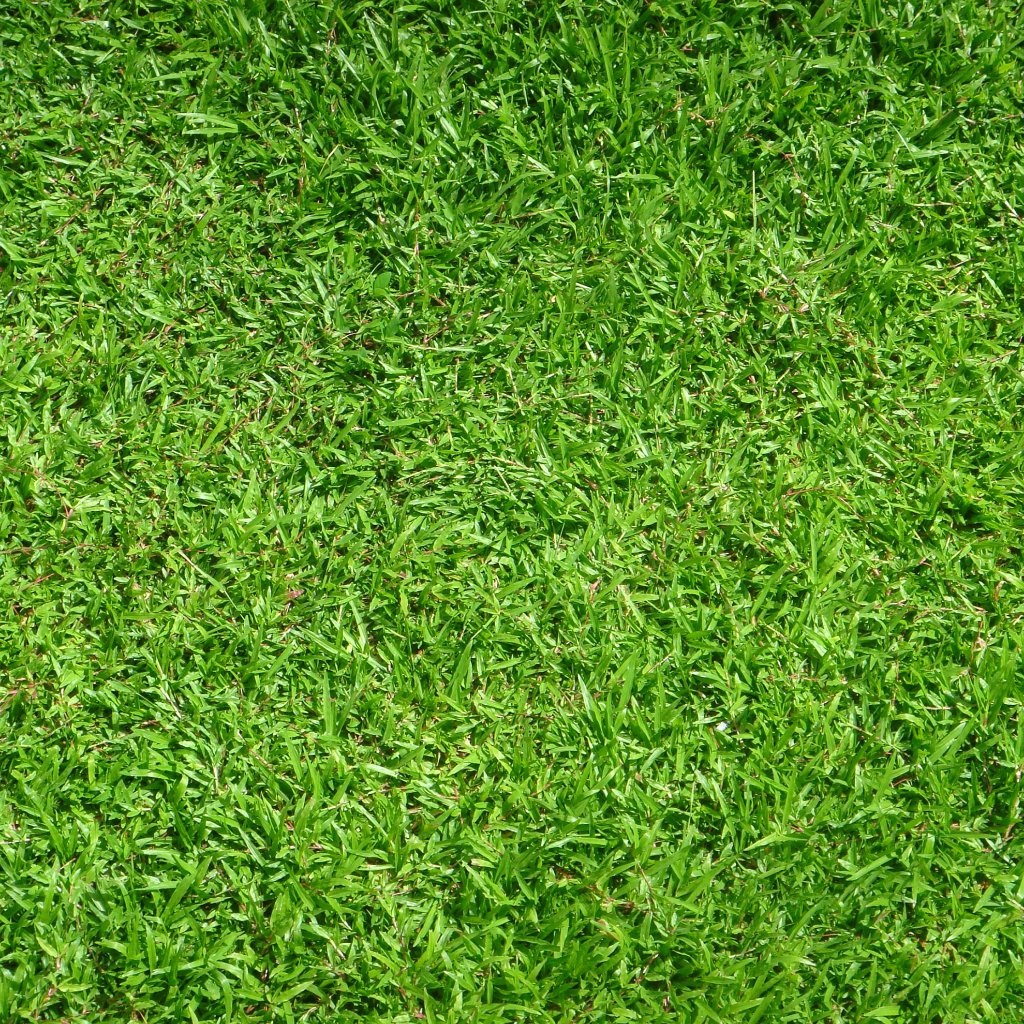 Green, Green Grass