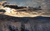 Winter Morning in the Forest