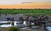 Sunset, Elephants on the Watering