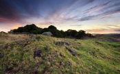 Stone Fields