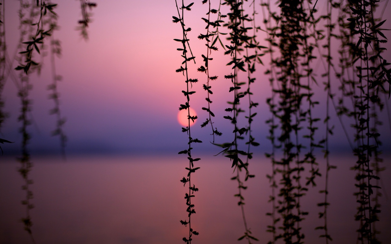 West Lake at Sunset