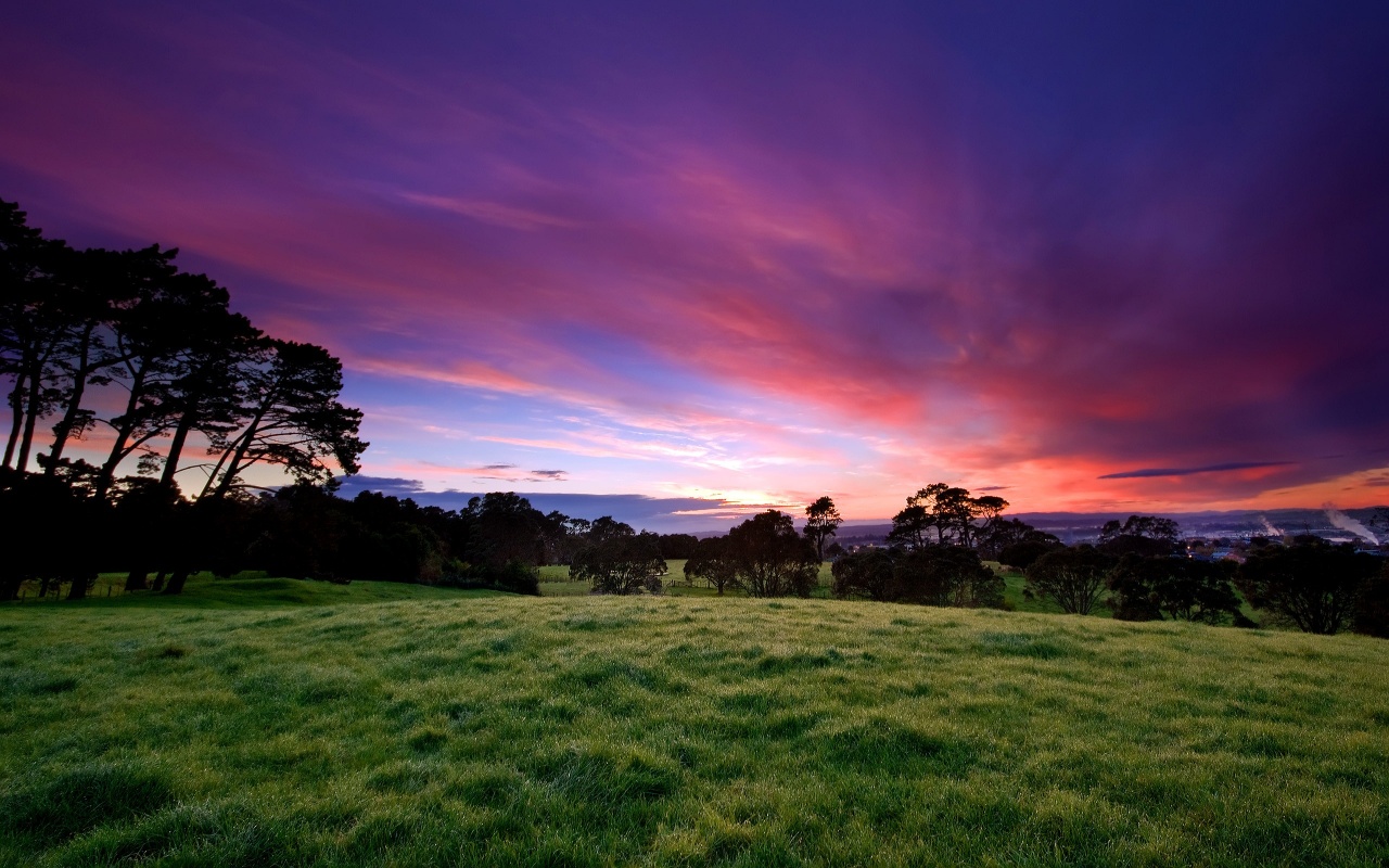 Purple Skies