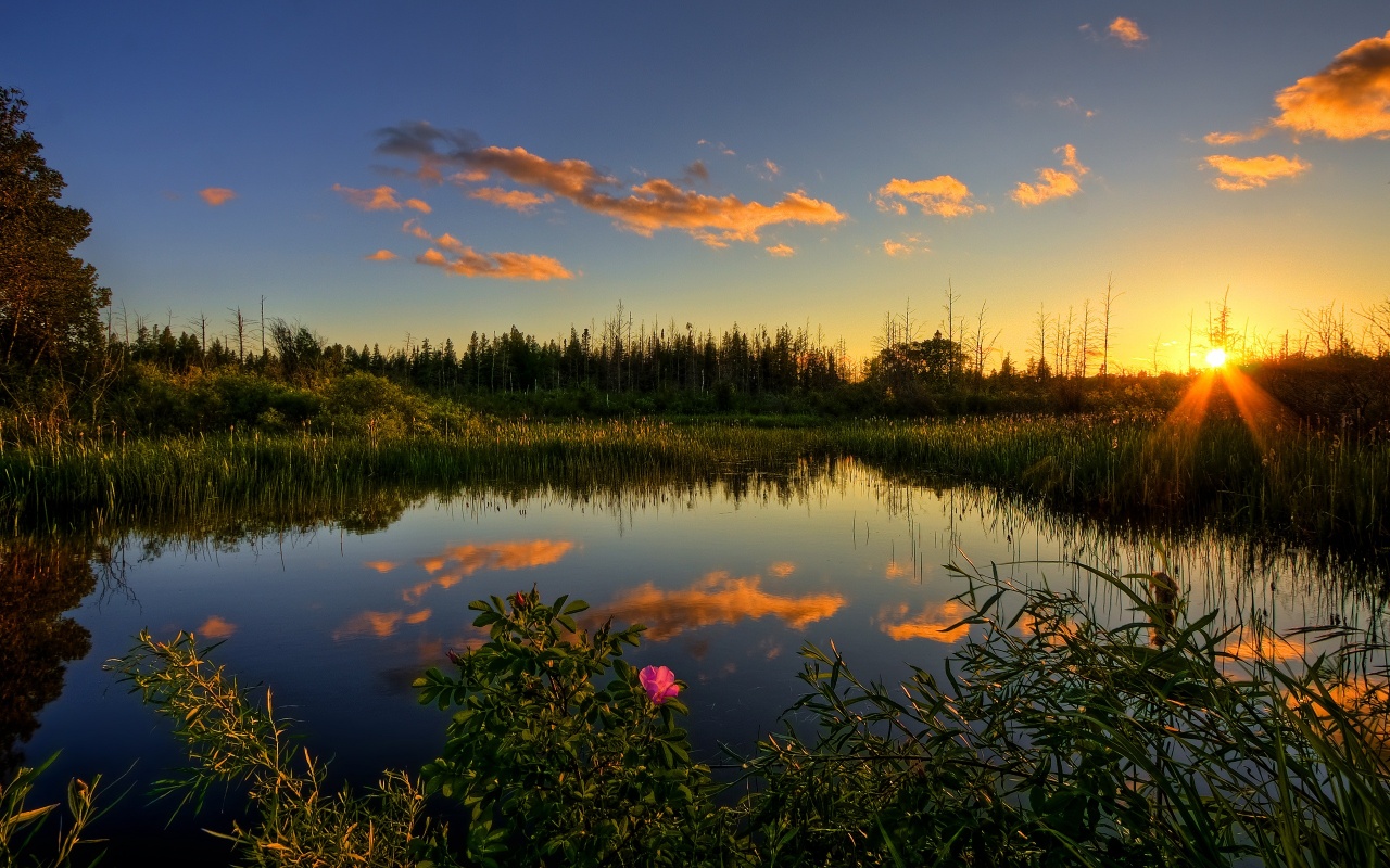 Peaceful Sunset