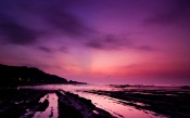 Purple Coast