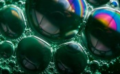 Soap Bubbles, macro