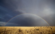 Full Rainbow Field's