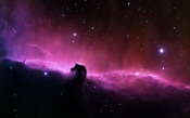 Horse Head Nebula