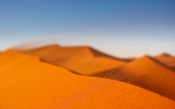 Windy Dunes