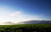 Green Fields of Sweden