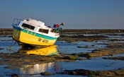 Resting Boat