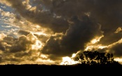 Stormy Skies