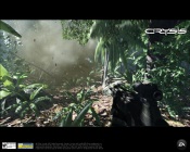 Crysis