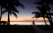 Silhouette in Tropics