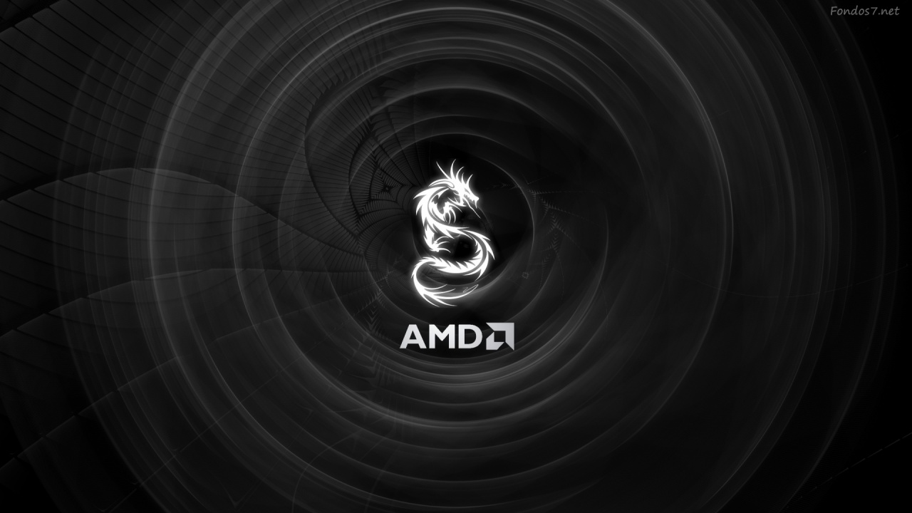 AMD Logo