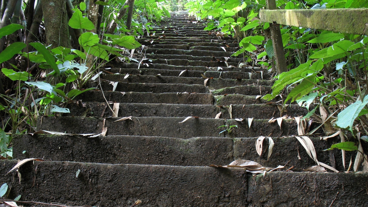 Nature Stairs