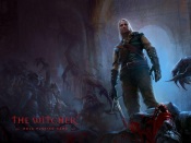 The Witcher - Role-Playing Game