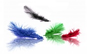 Colored Feather