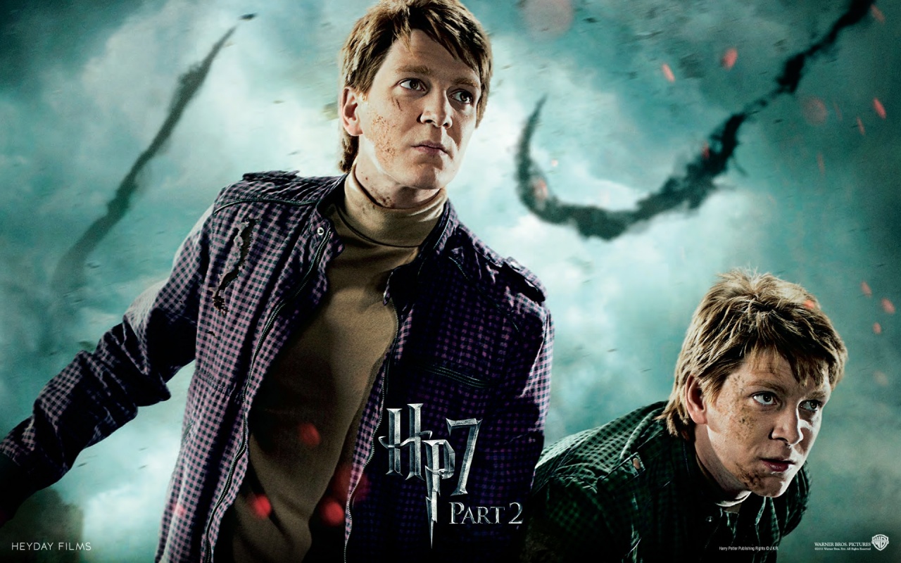 Twins - Harry Potter and The Deathly Hallows part 2