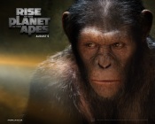 Rise of The Planet of The Apes - Caesar