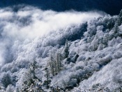 Winter Scenery In China