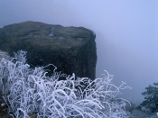 Winter Fog. China