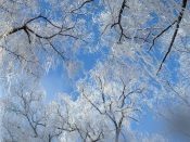 Beautiful Winter Scenery In China china