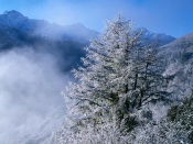 Winter Morning In China