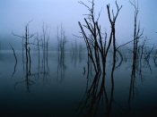 Winter Scenery In China, Amazing Photo